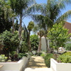 Rincón tropical en Sevilla