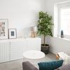 Salón estilo nórdico con planta