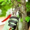 Servicios de jardinería