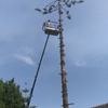 Sistema grúa
