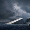 snohetta under