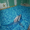 suelso 3d