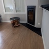 TARIMA EN SALON