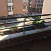 Terraza con jardineras