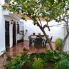 terraza II