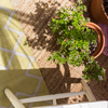 Terraza urbana