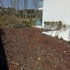 terreno virgen