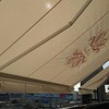 Toldo brazos extensibles