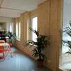 TRASDOSADO OFICINAS