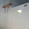 Ventanas y Lamparas colgante en recepción