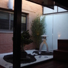 Vista del jardin