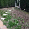 Vista general del patio antes de la limpieza y nivelación del terreno.