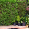VISTA JARDIN