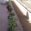 Vista nivelado