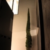 vivienda unifamiliar 700€/m2 construido