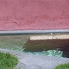 zona exterior 2009