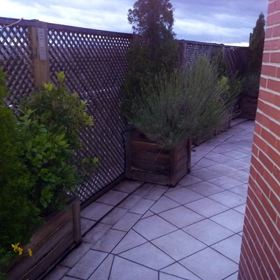 Mantenimiento pérgolas, jardineras y celosías - Madrid (Madrid