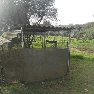 Larraun mujer soltera Larraun mujer soltera