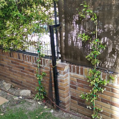 Reparación de valla jardin - Majadahonda (Madrid) | Habitissimo