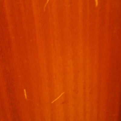 Reparar arañazos puerta acceso vivienda - Madrid (Madrid) | Habitissimo