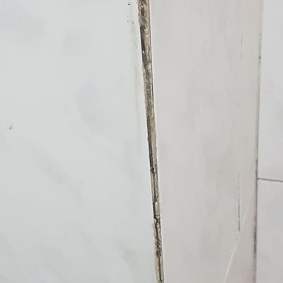 Precio Baldosas Cuarto De Baño
seattle