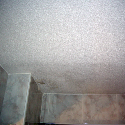 Pintar techo del cuarto de baño - Madrid (Madrid) | Habitissimo