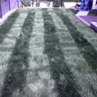 Realizar colocación de baldosa en exterior (20m2) - Islares (Cantabria