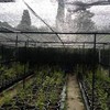 Instalación Cubierta con Planchas Onduladas Policarbonato
