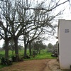 PODAR ARBOLES