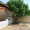 Realizar puesta a punto de jardín
