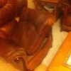 Arreglo sillon en piel flor