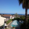 Limpieza o tala de palmera