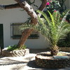 Reforma Integral Tejado Casa (Unifamiliar)