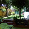 Suministro material de jardinería
