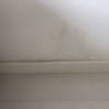 Poner Parquet o Tarima Vivienda (Completa)