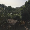 Mantener Jardín