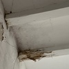 Pequeña Reforma Tejado Casa (Unifamiliar)