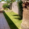 Mantener Jardín