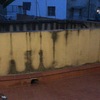 Poner Tarima Exterior
