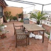 Arreglar y cambiar plantas terraza con 3 palmeras