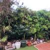 Desbrozar Jardín