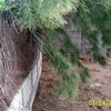 Construir Pared de 37 m por 2 m