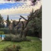 Otros Trabajos De Jardinería