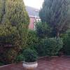 Tala de arboles
