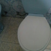 Reformar