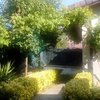 Reforma jardin