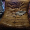 Tapizar sofa