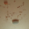 Reparar el techo de un baño por fuga de agua
