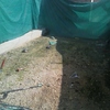Arreglar patio