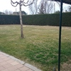 Replantar cesped